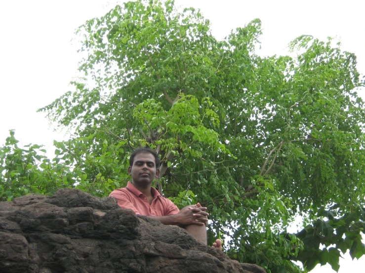 man in pink shirt on cliff near tree