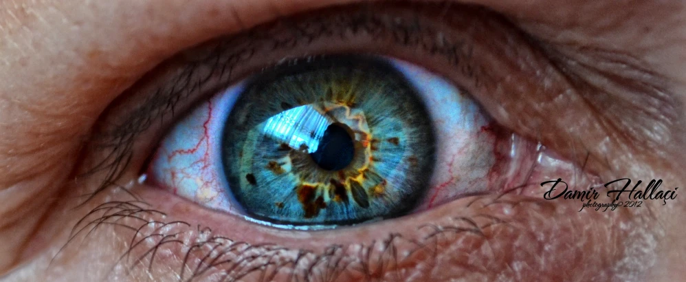 a close up view of a blue eye