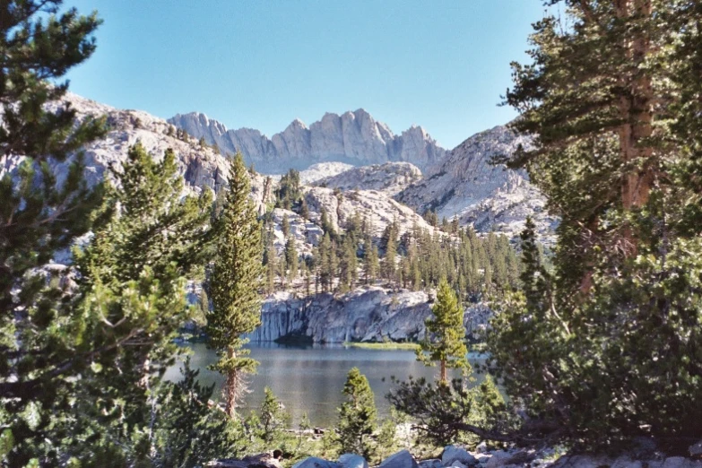 a large body of water surrounded by trees