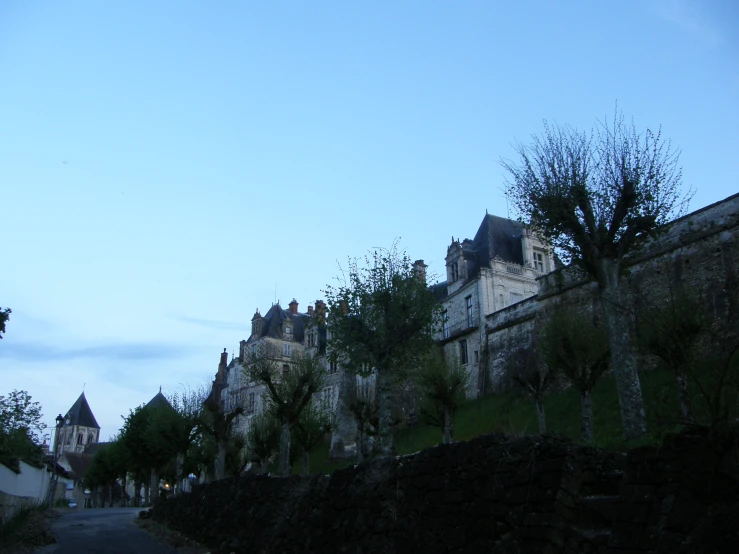 a castle is shown at night in a remote part of town