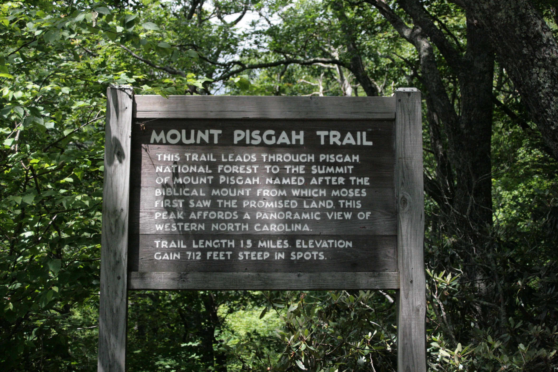 a wooden sign pointing in opposite directions to a forest area