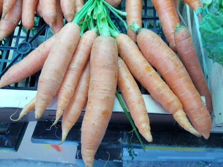 large, bright, carrots are shown in this po