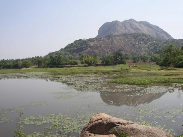 a lake with green plants near a large rock