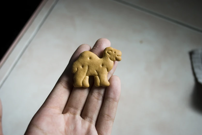 a little cookie shaped like a camel in someones hand