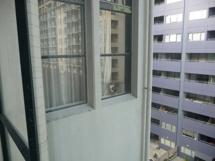 a cat is sitting in a window next to the wall