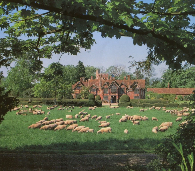 a field of sheep grazing in front of a mansion
