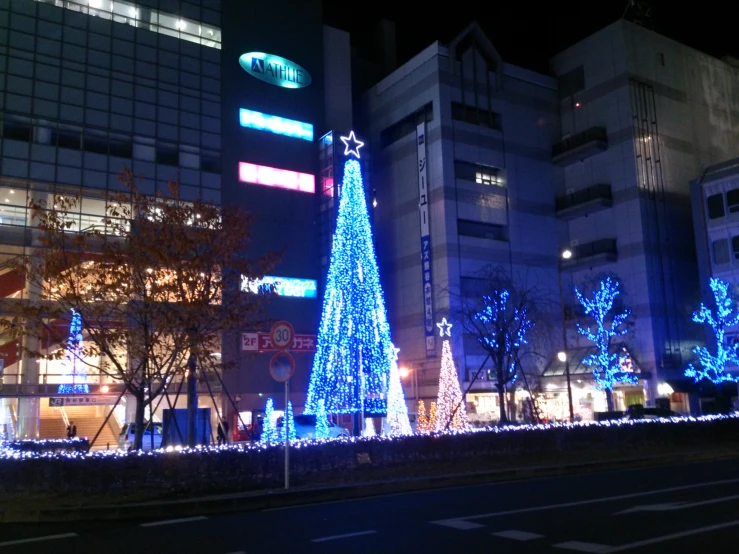 lit trees and bushes at night near buildings