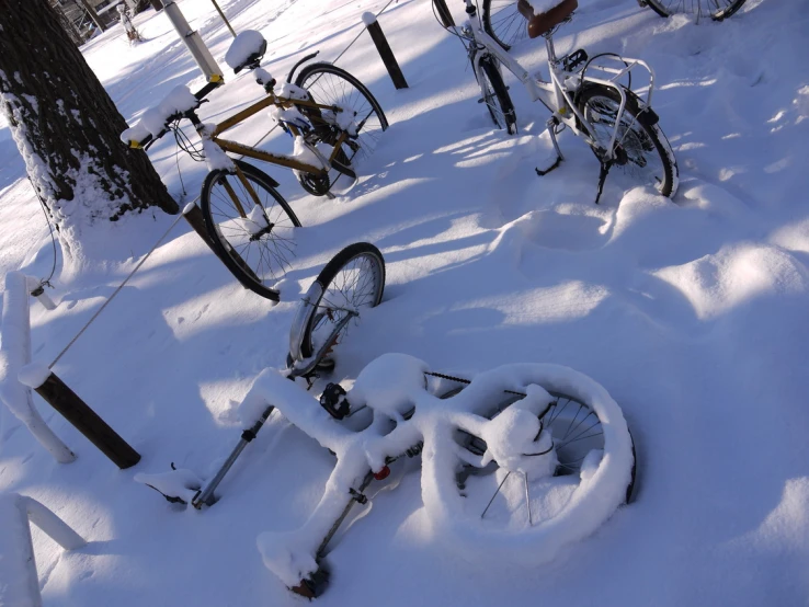 a pile of bicycle in the snow next to some trees