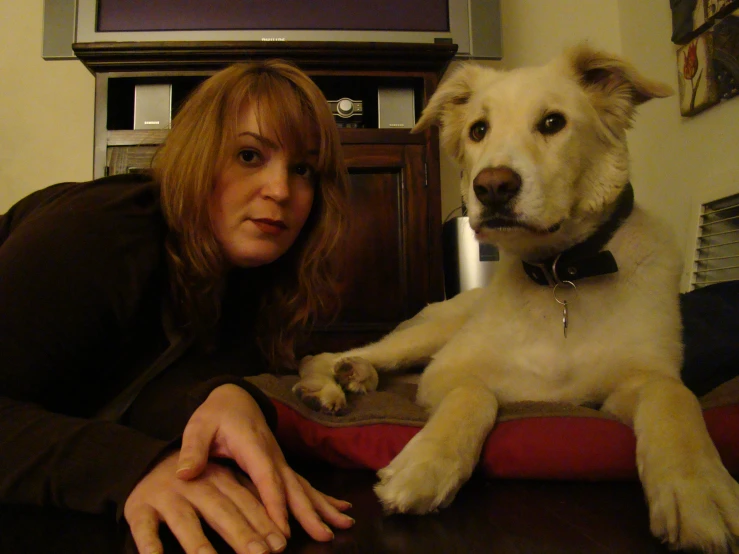 a woman laying on a bed next to a dog