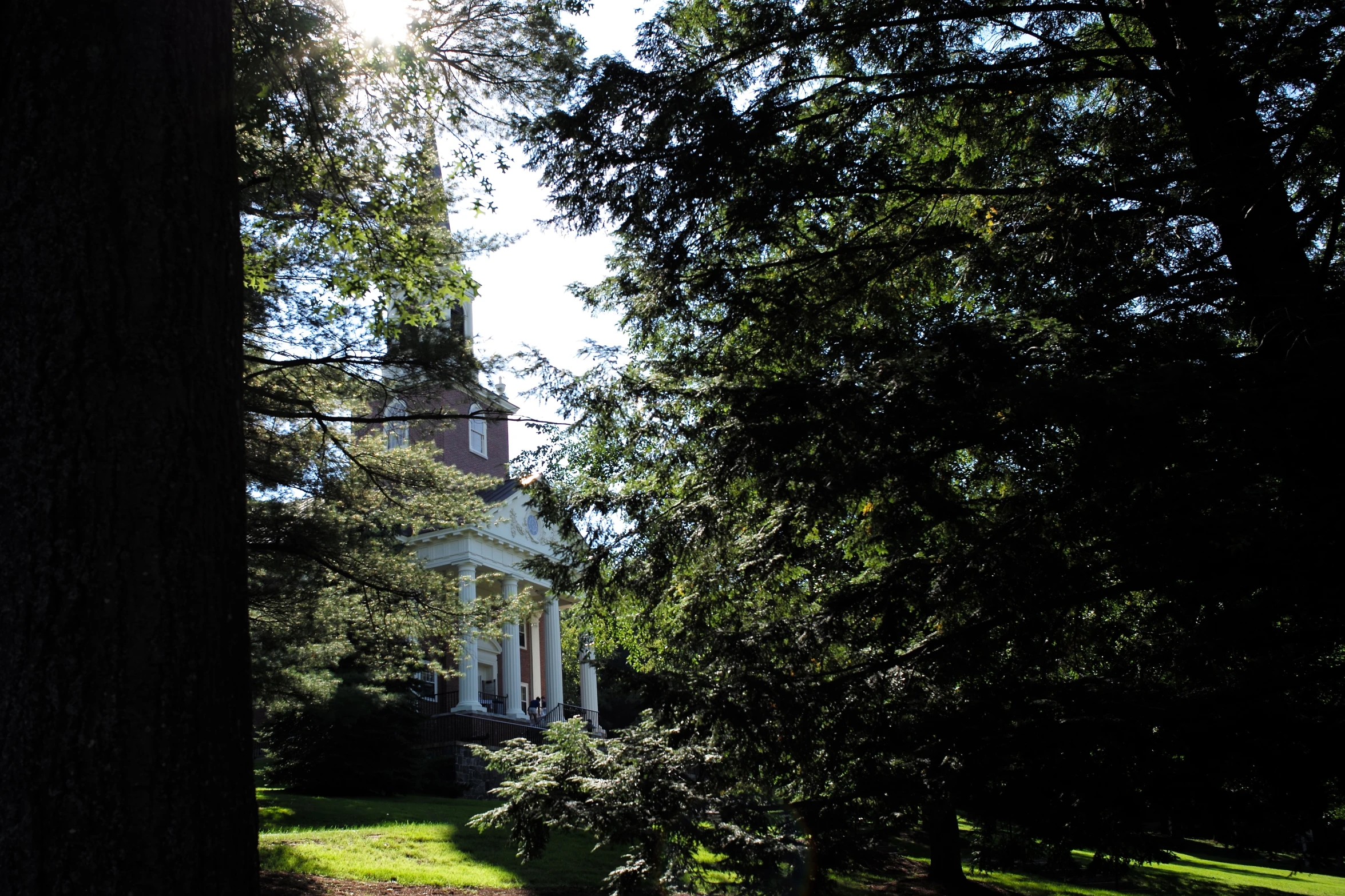 a view looking up at the church through trees