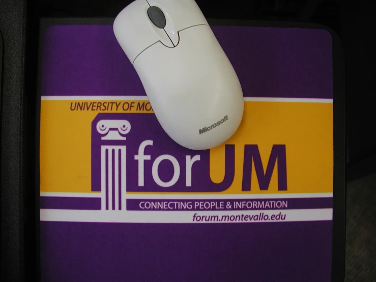 the white mouse is placed on the university of mic forum for forum logo