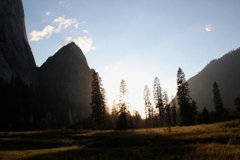 some very tall trees a mountain and mountains