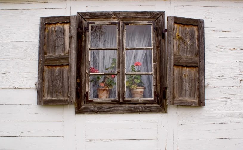 an old window is used as a flower vase