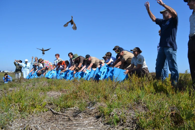 many people in a field watching some birds