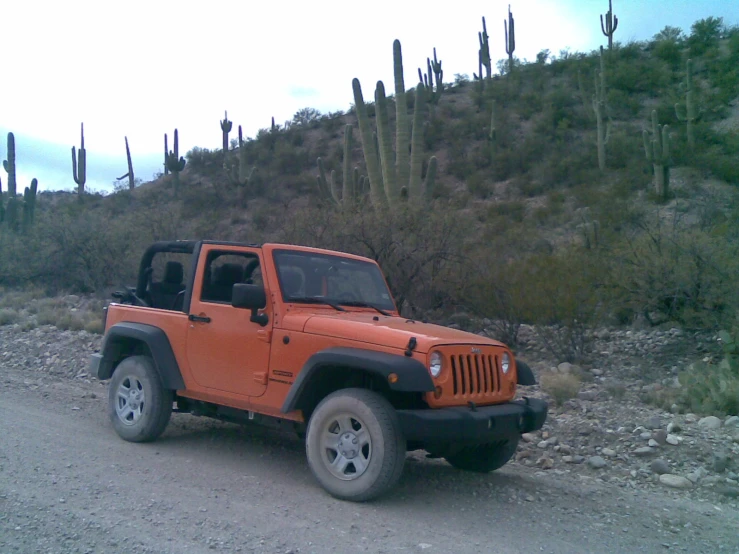 a orange jeep is parked in front of some cacti