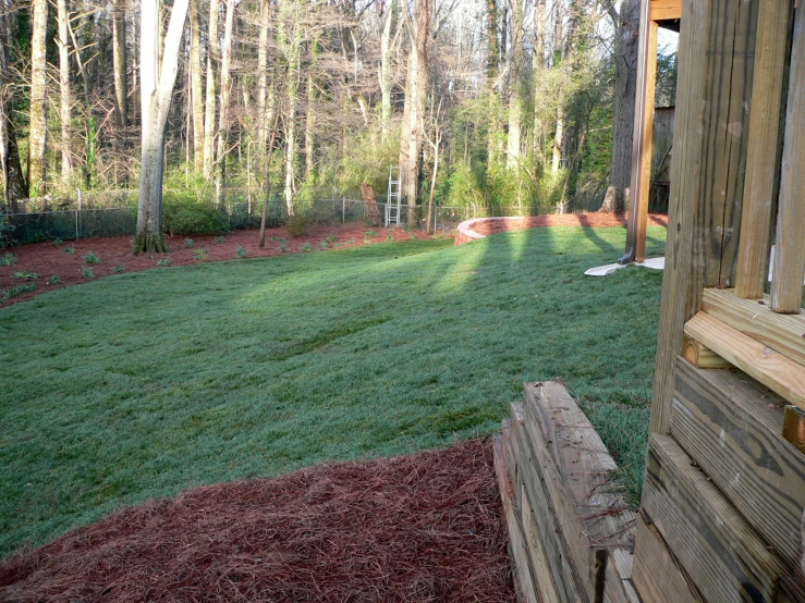 the backyard has grass and mulchs in it