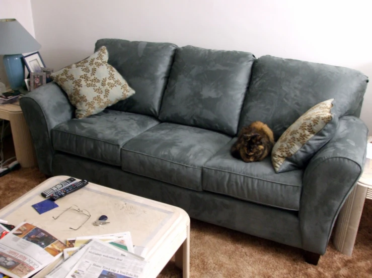 a cat sitting on top of a couch near a table