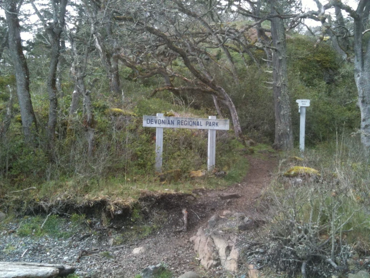 a path leads through the woods to an island