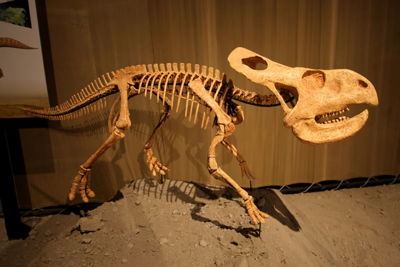 an animal skeleton stands in front of a painting of a dinosaur