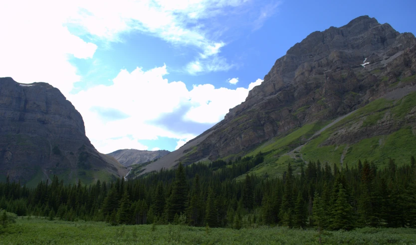 a valley is next to a big mountain with trees