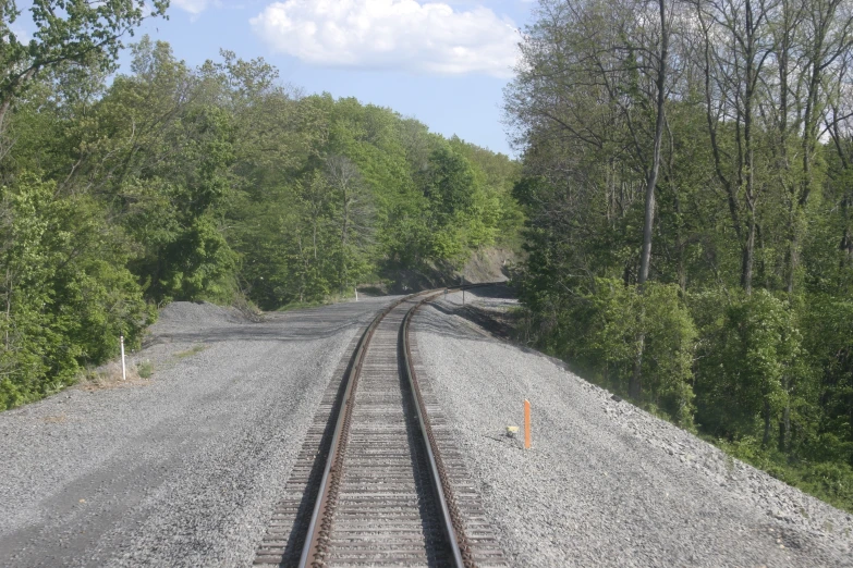 the rail road tracks lead into the wooded area