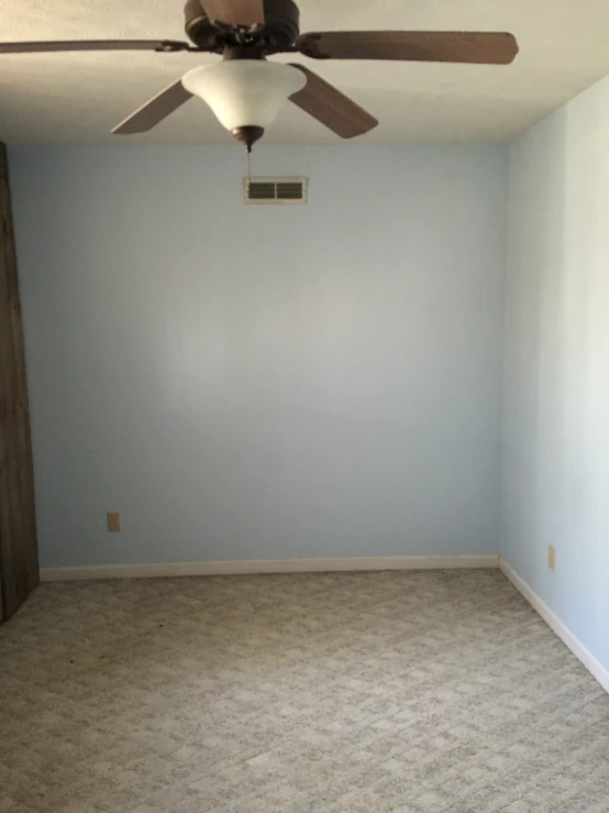 a room has carpet, ceiling fan and blue walls