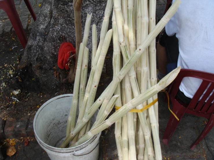 a bunch of bamboo sticks stacked up against a wall