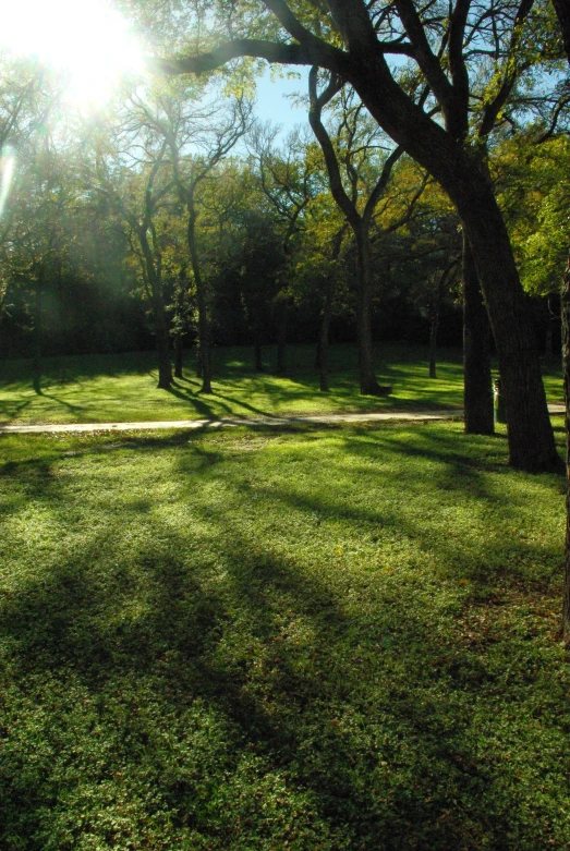 a field that has grass, trees and a fire hydrant in it