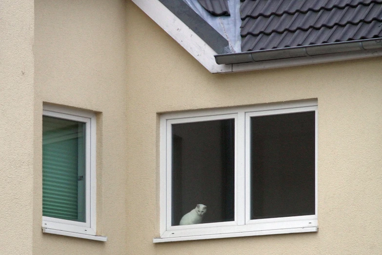 the window is wide open and has a bird sitting on it