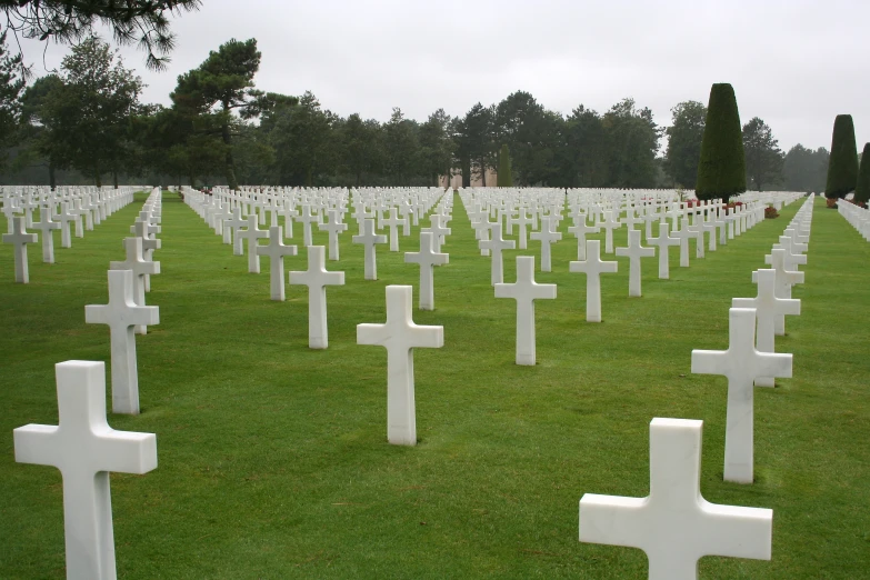 dozens of white crosses sitting in the grass on the grounds