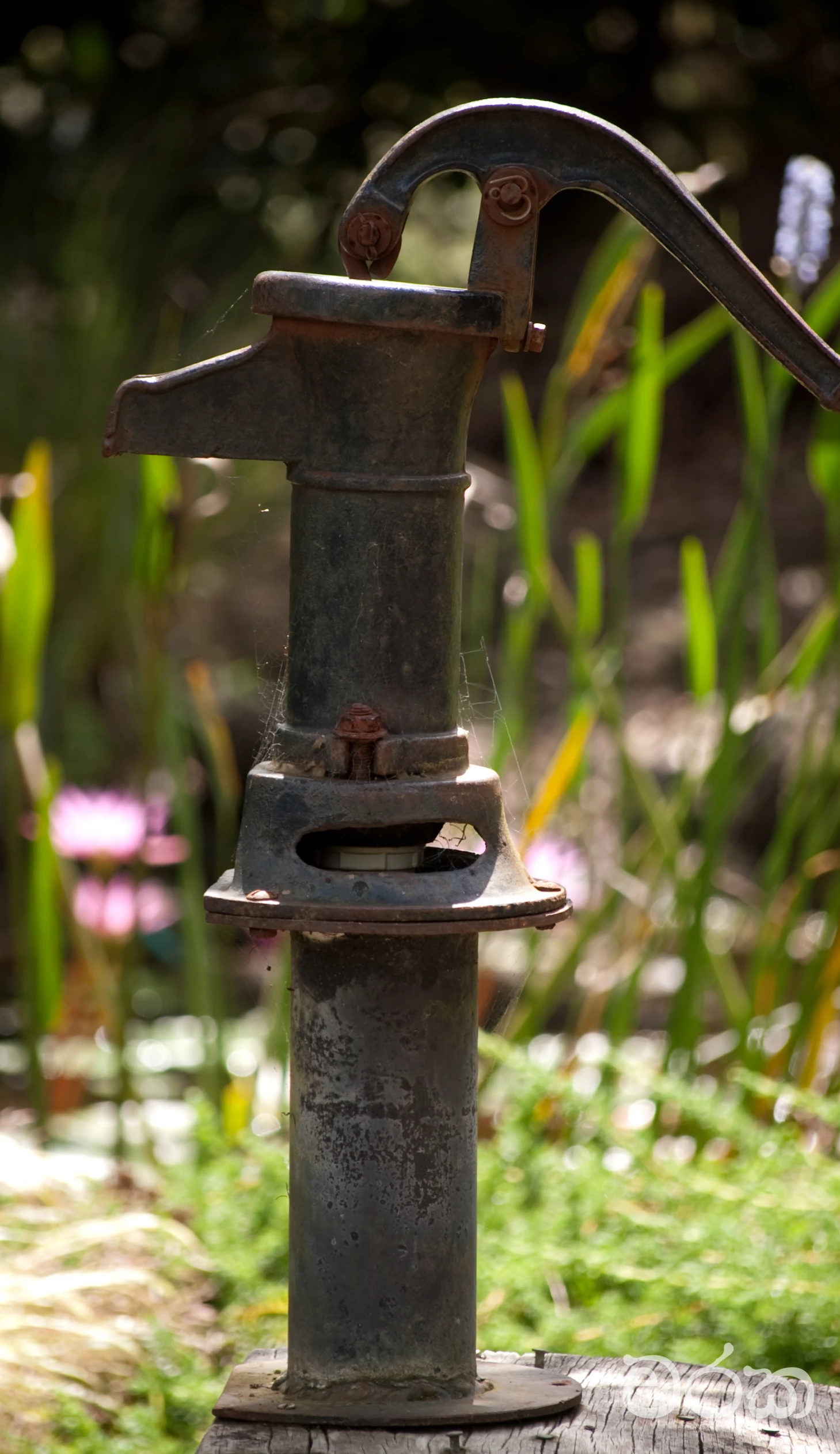 an old water pump still in the field