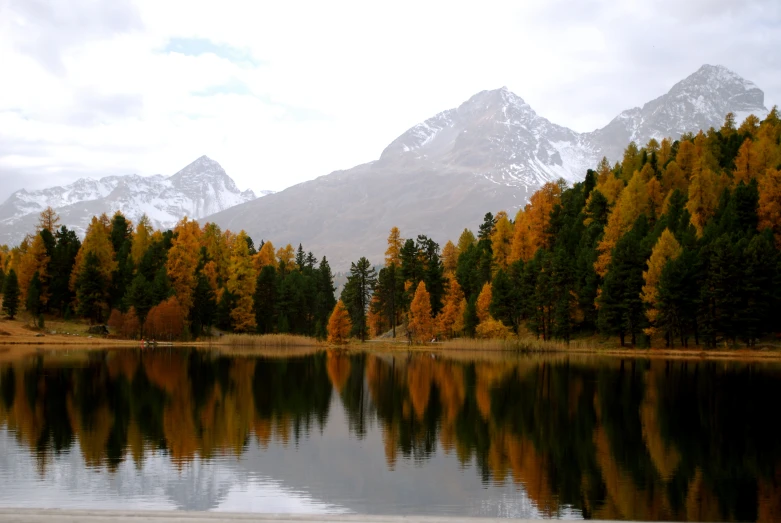 a mountain is in the background and trees stand along the shore