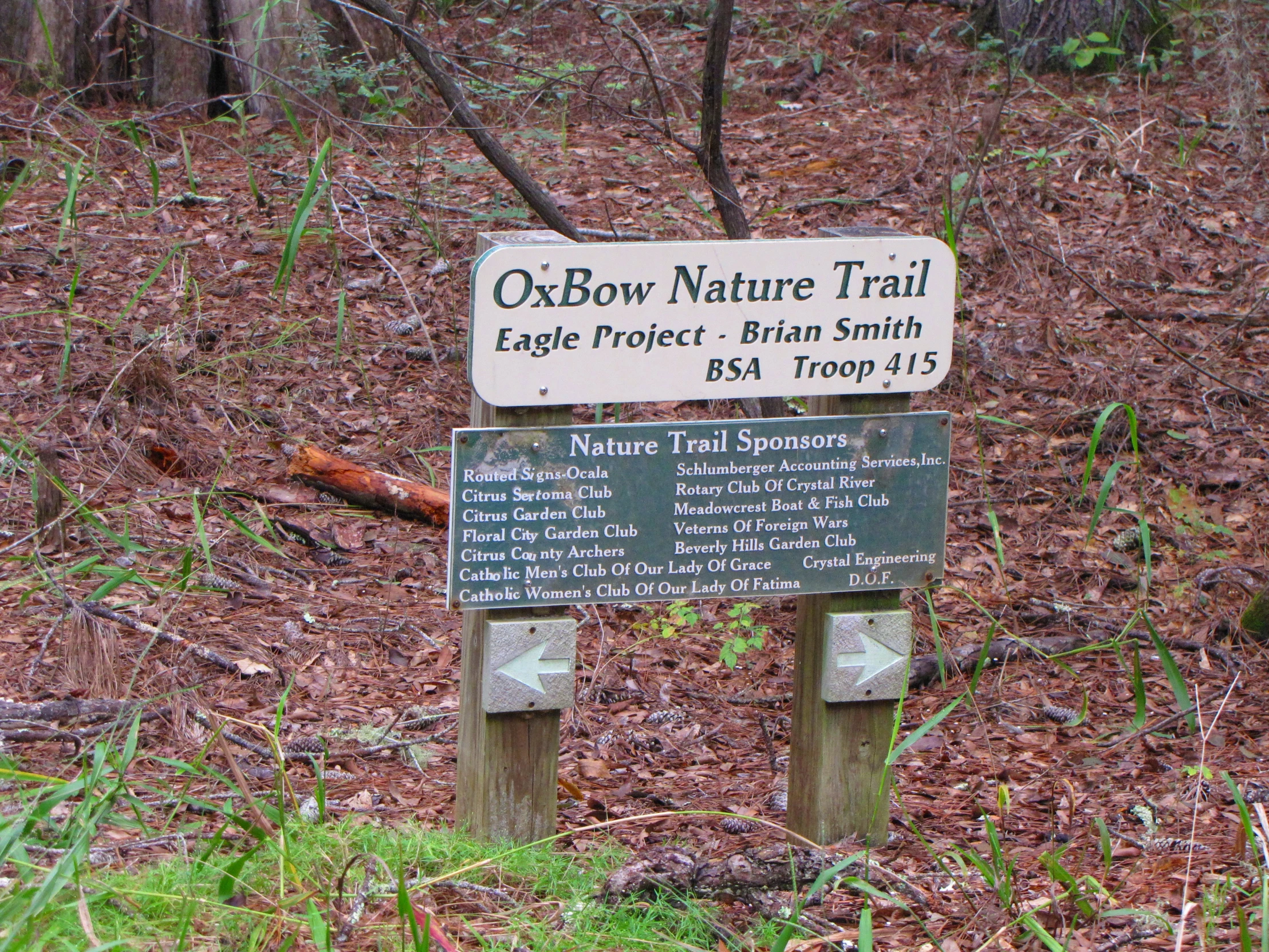 a sign in the woods indicating that there are other native trees