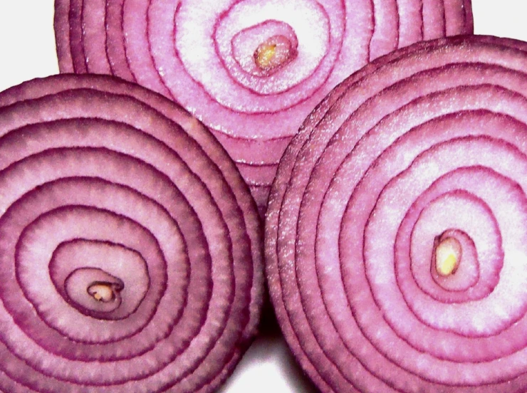 sliced onions that are arranged on the ground