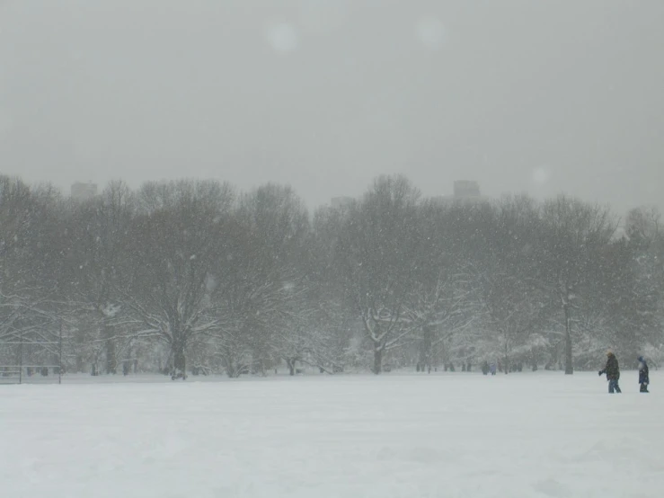 some people walking through a snowy field with trees in the background