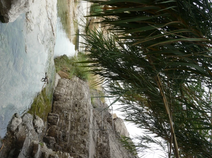 a creek that has some water and a rock cliff