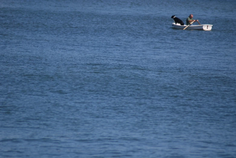 there is a dog that is on the small boat