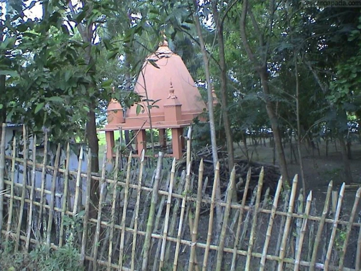 there is a garden area with plants on the grass