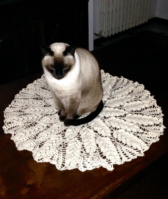 cat sitting on a lacy doily next to an old heater