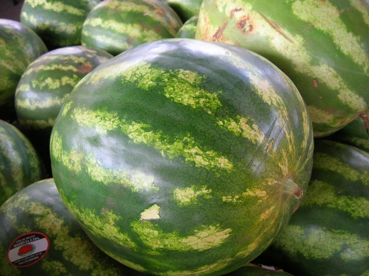 watermelon are sitting together on display for purchase