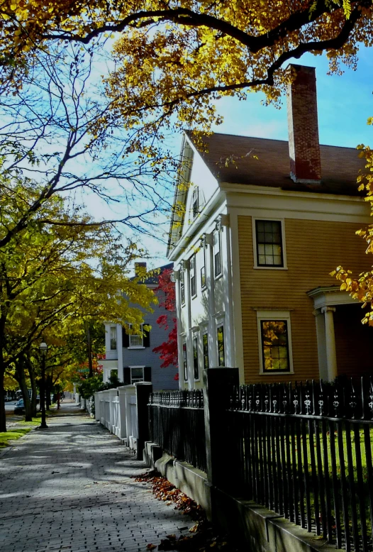 a city street with yellow trees lining the sidewalk