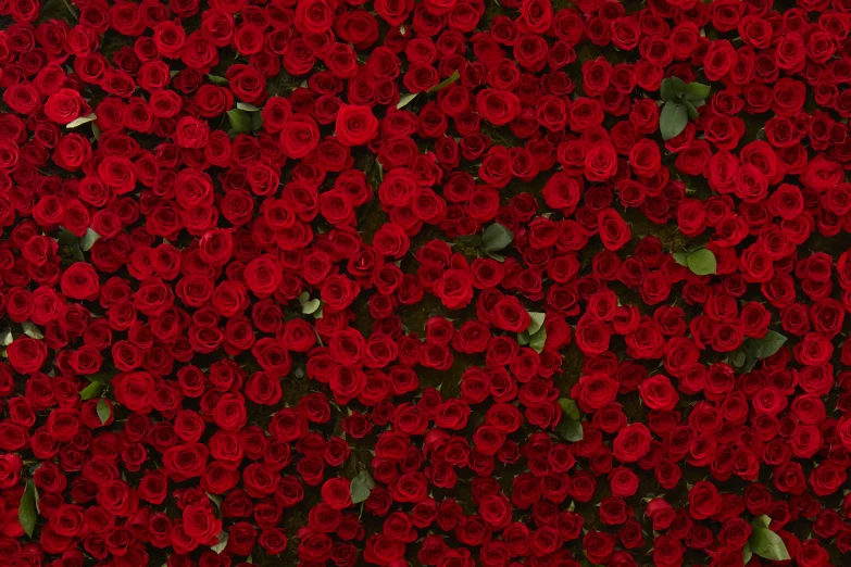 close up of a group of flowers on a pole