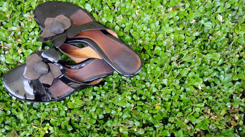 a pair of shoes on the ground in grass
