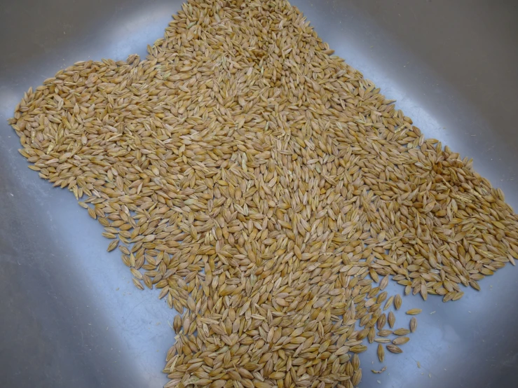 grains of sesame in a pan being stirred