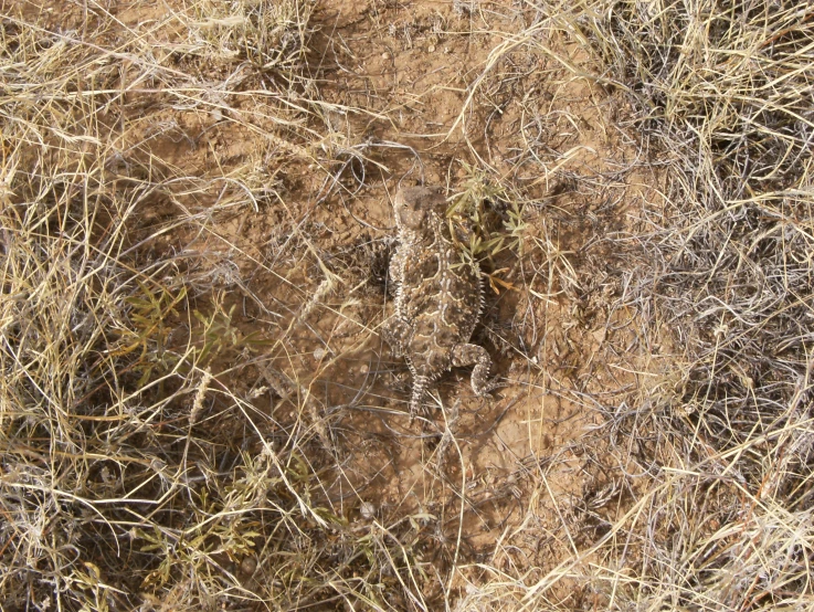 the top of a field with many dirt and grass