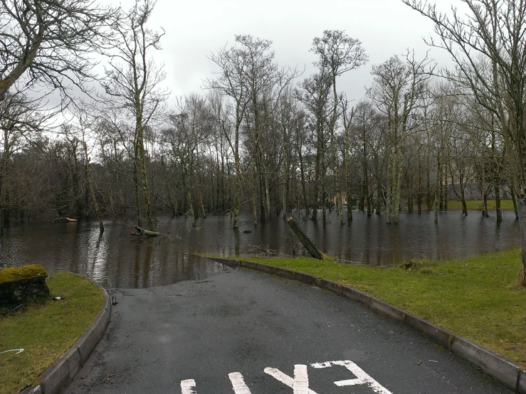 the view from the road looking towards a flooded street and trees