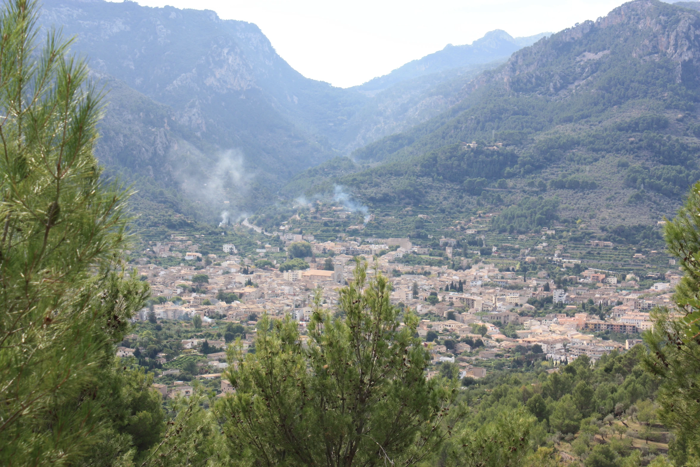 view from above of a valley with lush green trees