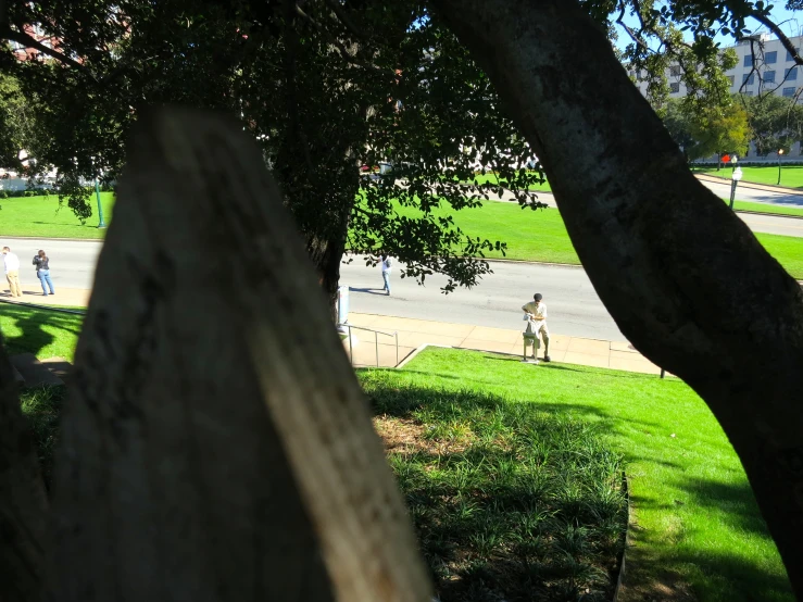 several people are walking through the park under trees