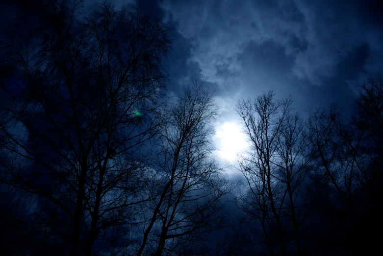 an image of night time scene with trees