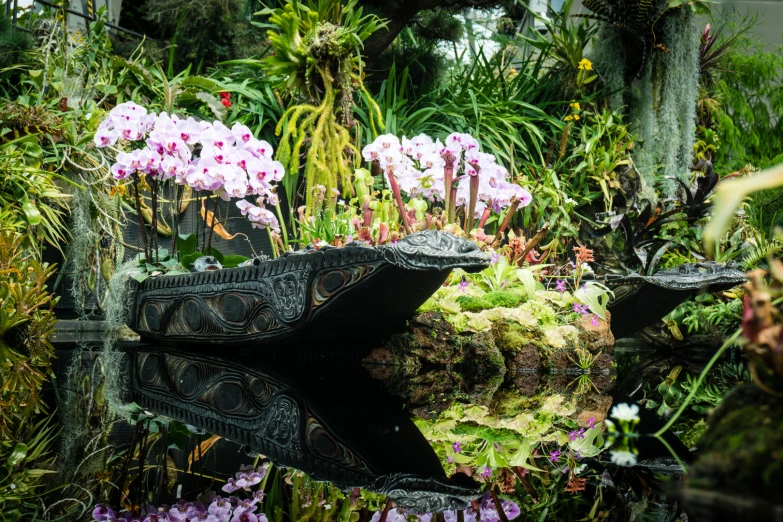 the flowers are growing near the water and plants